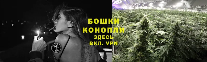 это формула  Ногинск  Шишки марихуана SATIVA & INDICA  как найти наркотики 